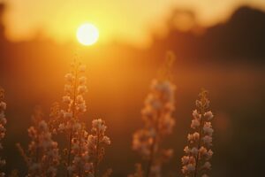 14 Morgensprüche für einen guten Start